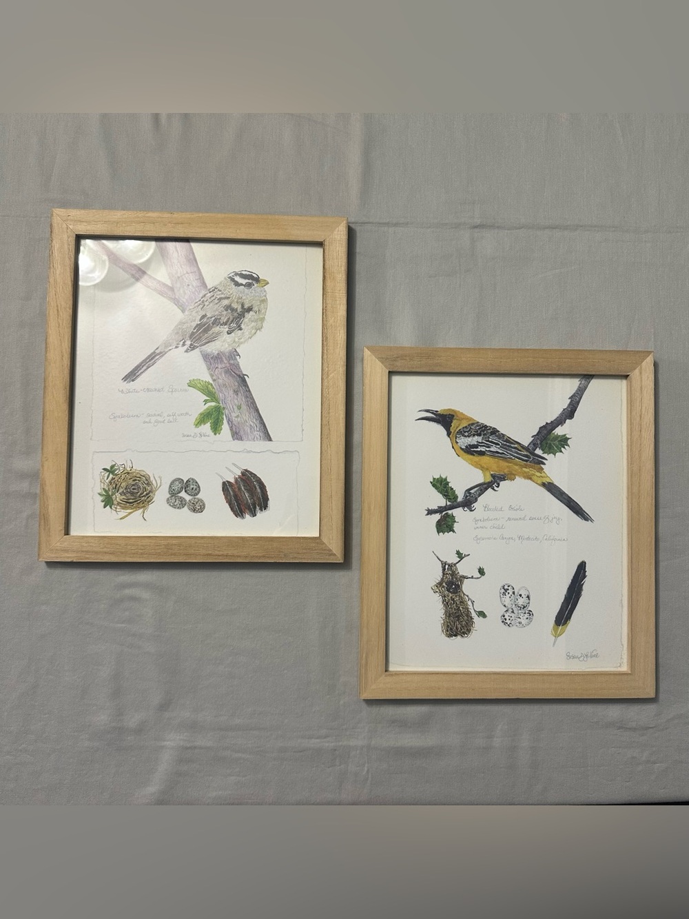 Set Of 2 Framed Bird Art Prints Susan D LeVine Natural Wood Frame